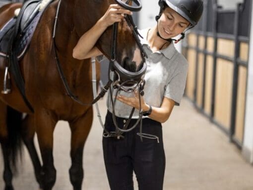 A lady at a stable stroking her horse's head