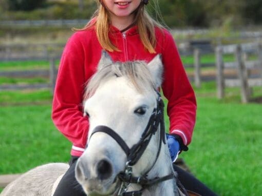 A girl on a white horse with a helmet on her head about to go riding.