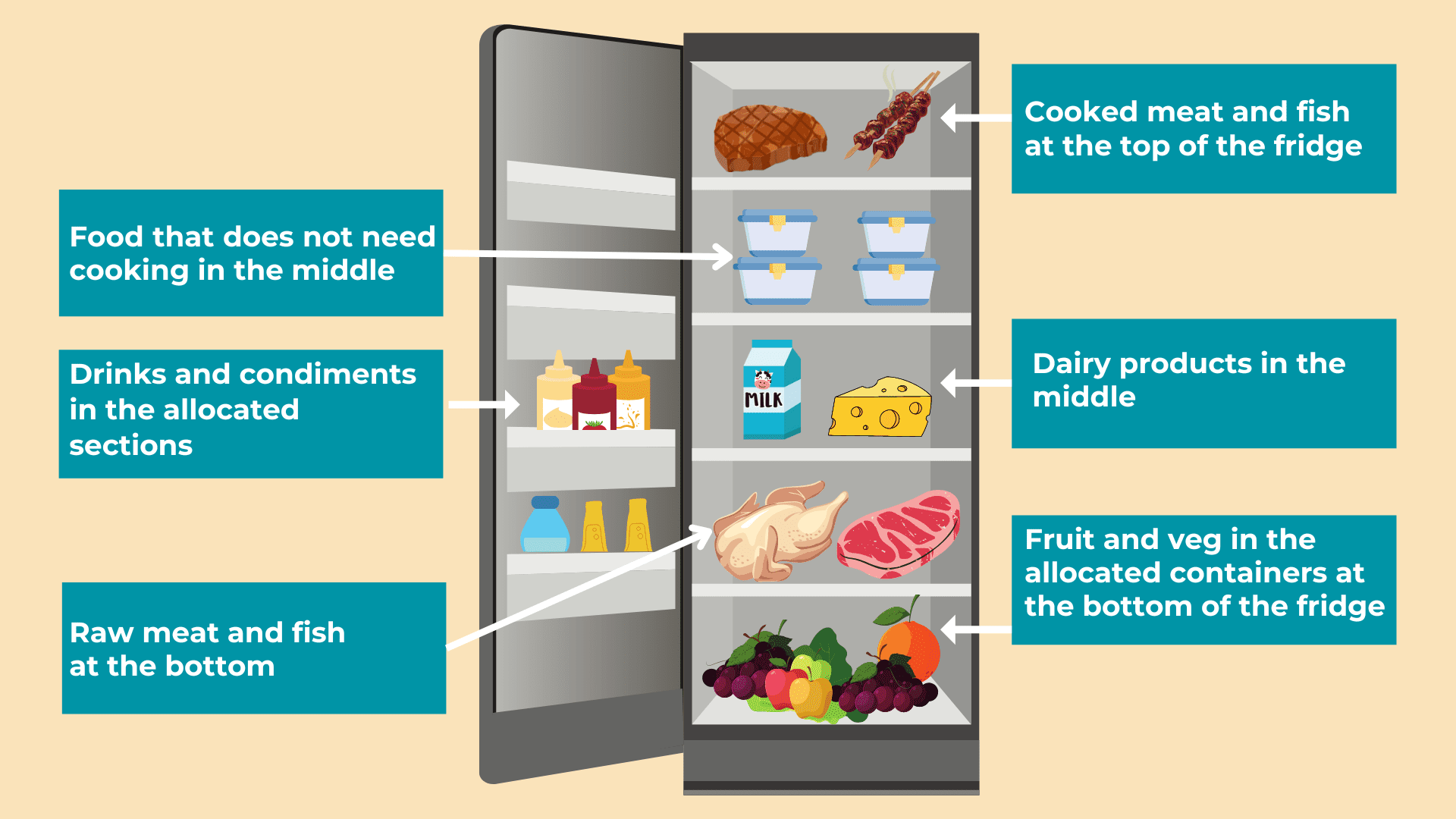 Image to show where different foods are best located in a fridge, ie cooked foods on top shelf, raw foods isolated on the shelf above the salad drawers.